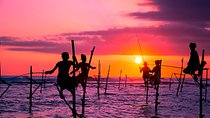 Galle Private Day Trip from Colombo/ Negambo / Bentota