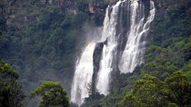Waterfall Day Tour with a Local Guide 