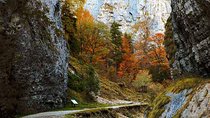 CURMATURA CHALET and CANYON eBike tour(BRASOV)