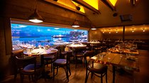 Kopar Fine Dining Dinner and Northern Lights Cruise from Reykjavik