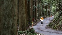 Kyoto country side scooter tour