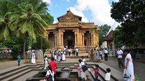 Colombo Shore Excursion to Panoramic Colombo with Kelaniya Temple
