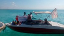 Private Speedboat 2 hours - Sharm el Sheikh