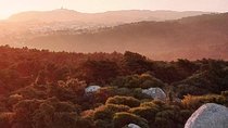 Private Evening Walk Inside the Forest: "Sintra Mountains Inbetween Wolves"