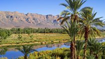 Desert Odyssey: A 2-Day Journey from Marrakech to Zagora