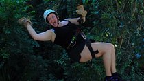 Atv , ziplines and cenote jungle adventure