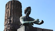 Herculaneum Pompeii and Paestum Private Tour from Rome with lunch