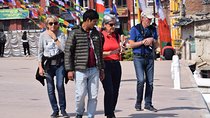 Boudhanath & Pashupatinath Half Day Tour in Kathmandu