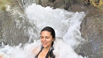 Dunn's River Falls and Ocho Rios Shopping Tour from Falmouth