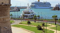Private Transfer Rome-Civitavecchia Port or Civitavecchia-Rome