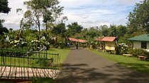 Private Transfer from San Jose downtown to Liberia Airport