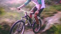 Full Day Private Cycling Cape of Good Hope