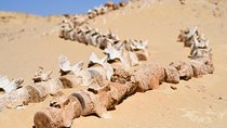 Day Trip to Wadi El-Hitan, Wadi El-Rayyan & Al Fayyom Oasis