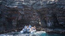Deluxe Morning Snorkeling Adventure