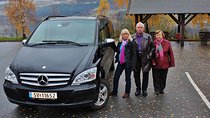 TRANSFER, STANDARD, 1-7 PAX: Bergen – Voss 