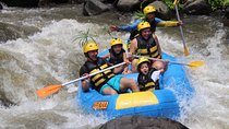 Ayung River Rafting & Ubud ATV Ride