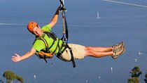 Catalina Island Trip with Zipline Eco Tour and Hotel Transfers