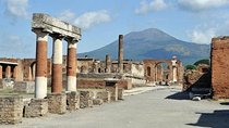 Pompeii Wheelchair Accessible Private Tour