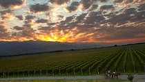 One-day trip to Kakheti (Wine Tour)