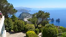 Capri Boat Tour, Blue Grotto and Anacapri from Rome