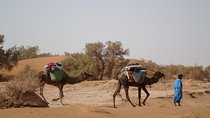 4 Days Trekking To The Heart Of Desert
