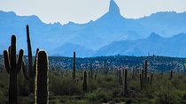 Wilderness Hiking Tours