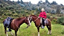 Horse Riding Chacan Mountain And Temple Of The Moon