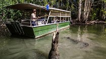 Hartley's Crocodile Adventures Day Trip from Palm Cove