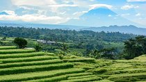 Bali Private Hired Car with Private Driver