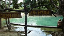 Thailand’s Last Lowland Rainforest – A Hidden Gem Tour