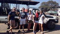 Game Drive Mosi-oa-tunya National Park