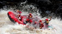 Zambezi White Water Rafting