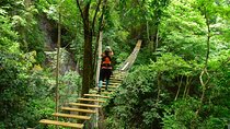5 in 1 Adrenaline Junkie From Jaco