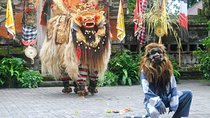  Ubud Village : Culture and Hidden Waterfalls