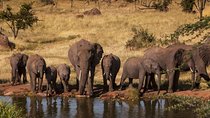 2-Days Safari Tarangire Park and Ngorongoro Crater