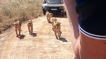 Lake Nakuru National park day trip 