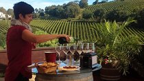 San Sebastián, Txakoli winery and coastal villages. Maximum 4 persons. 