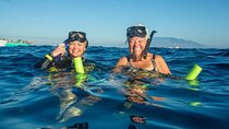 Molokini & Turtle Adventure: Small Group from Ma'alaea Harbor