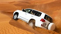 Morning Desert Safari Abu Dhabi with Camel Ride and Sandboarding 