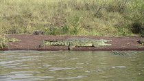 2 Days Nature Tour from Addis Ababa to Awash National Park