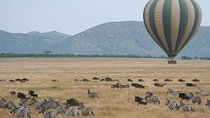 12 Days Best Of Kenya Tanzania Safari