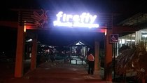 Fireflies and Kuala Selangor Tour Including Dinner
