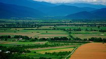 Two Days in Gorgeous Wine Region with Full board Meals and Tastings From Tbilisi