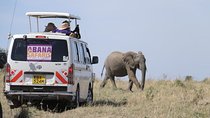 3 Days Masai Mara Safari