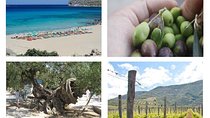 Wine and Olive,Falasarna Beach Group Tour up 15 persons - Wheelchair Accessible 