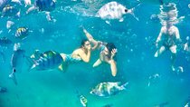 Tropical Paradise Ilha Grande on a Private Fastboat Tour