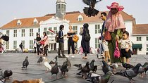 Jakarta Private Tour with Guide and Lunch
