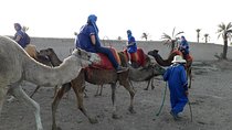 Camel Ride including pickup and dropoff 