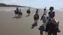 CR Beach Barn- Horse tour on the beach 