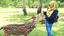 Private Bogor City Tour